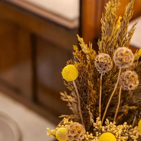 Cedofeita Vintage House Da'home Villa Porto